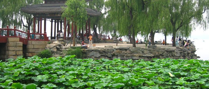 Summer Palace lotus pond