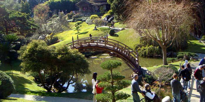 The grounds at The Huntington